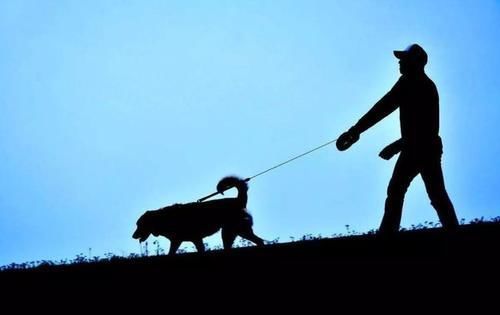 百岁老人|1000名百岁老人的调查结果,长寿之人的共性,并非运动,是这2点