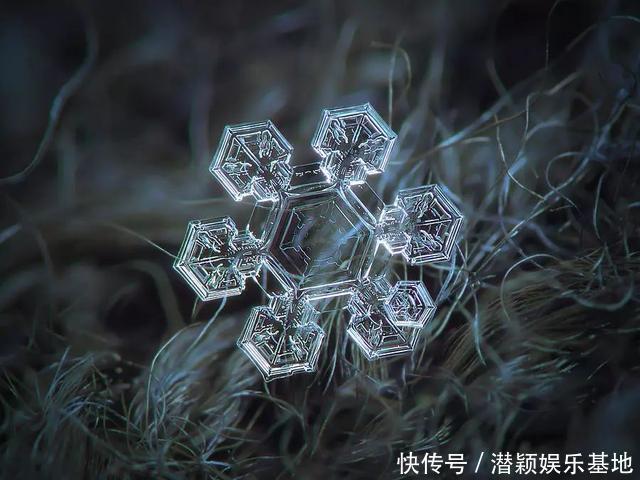 他用8个冬天拍下雪花的样子，每一朵都如此惊艳！