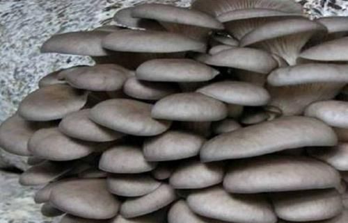 食物|女性不想满脸皱纹,可以多吃3种食物,排毒养颜,有益健康!