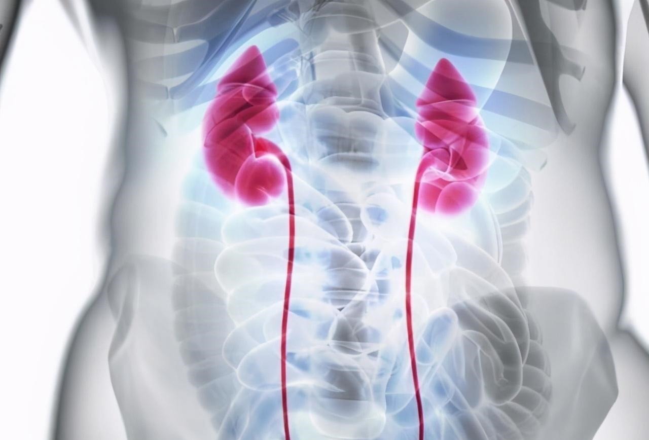 嘌呤|男子高尿酸变成肾衰竭，从不喝酒，医生指出2样东西害人不浅