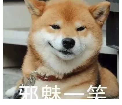 林一解锁人生新体验!网友直呼没想到这件事能这么好笑!