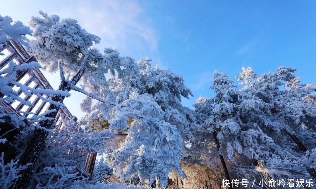 雪景|遂昌大美雪景图！让你一次看个够