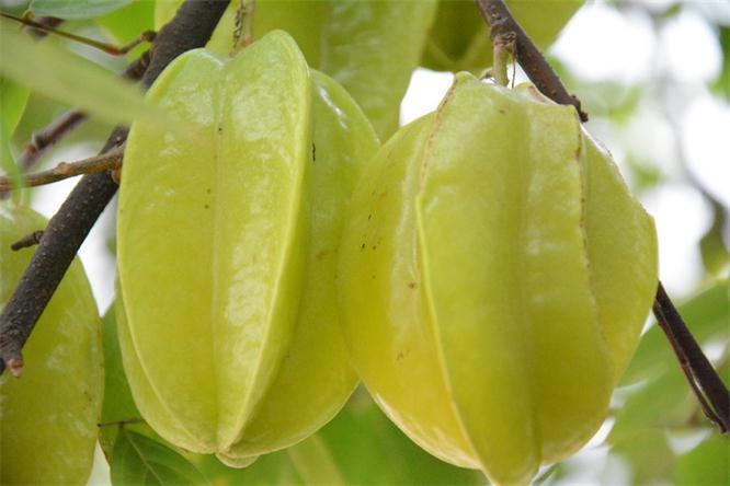 养生|聪明的人爱吃3种食物，美容养生、延缓衰老，早吃早健康！