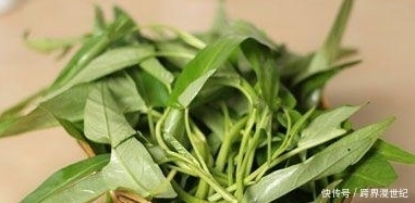 提高免疫力|6月最适合吃这些食物,养肝护肝,提高免疫力,可别错过了!