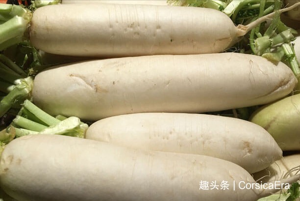 白萝卜可以放冰箱吗平时怎样保存才新鲜!