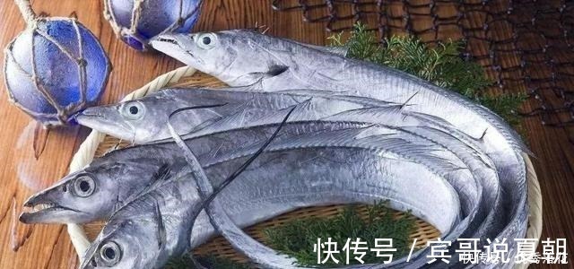 带鱼|想买到优质的带鱼靠经验,记住“4买3不买”,避免上当受骗!