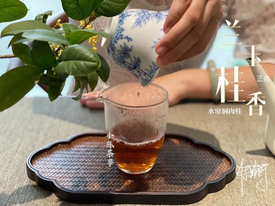 学术讨论|武夷岩茶还魂汤的学术讨论,专家不喝,茶客必留,这是为什么呢