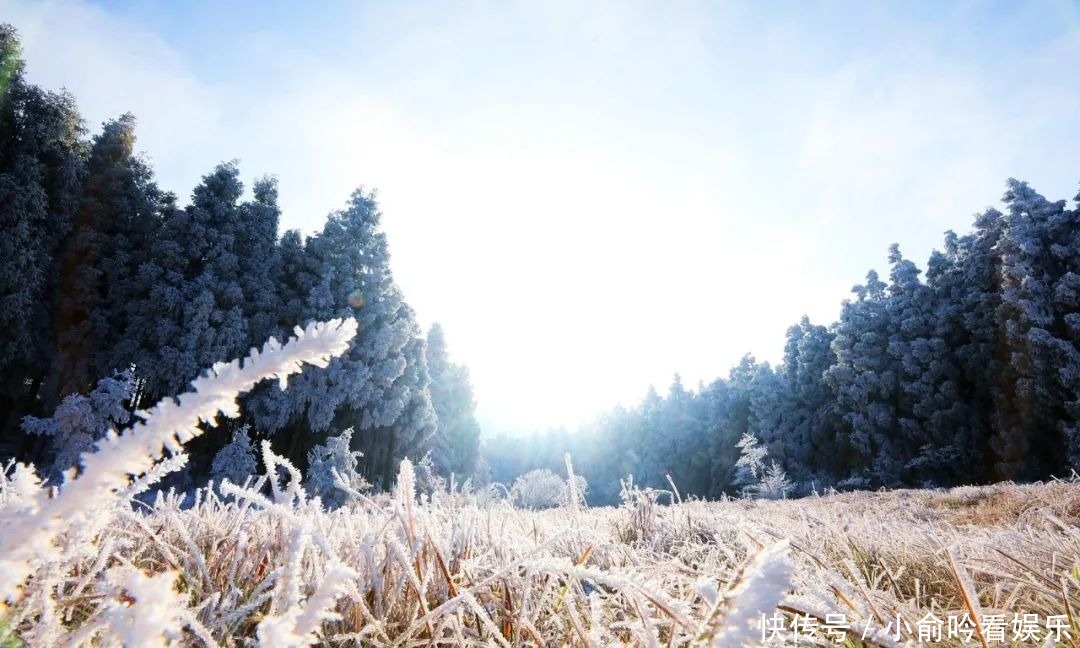 雪景|遂昌大美雪景图！让你一次看个够