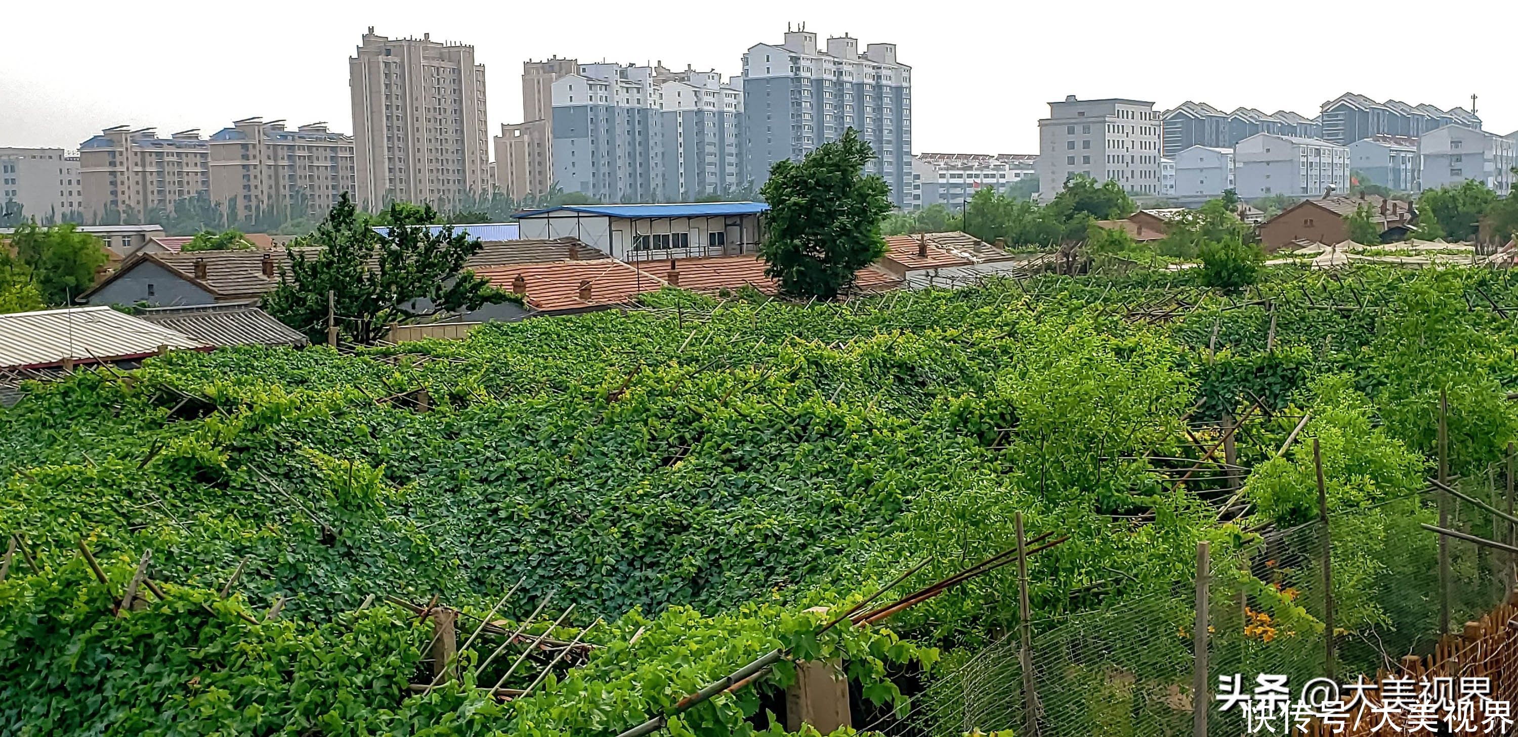 交界处|炎炎夏日，到张家口感受美景和清凉