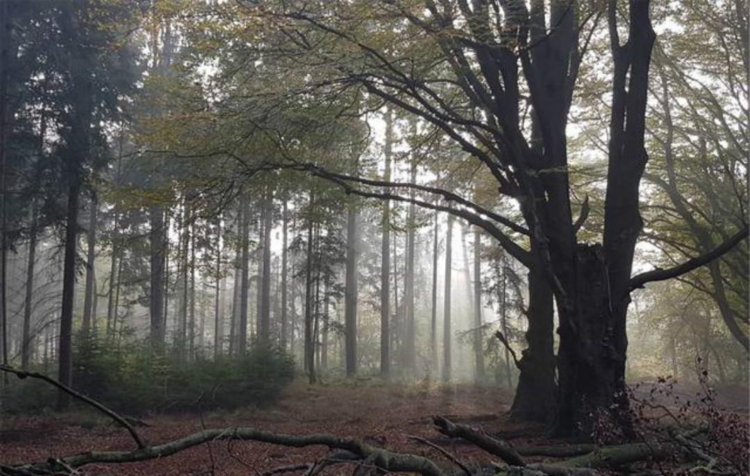 拍案叫绝|《全宋词》里最狂一首词,每一句都很狂,读来也是令人拍案叫绝