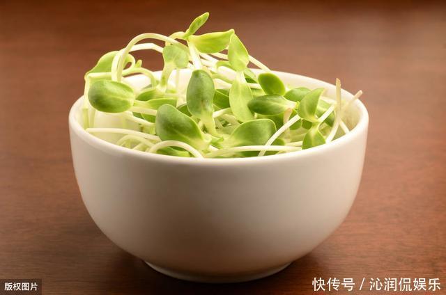 維生素B族有啥用、怎么補、補多少看這一份指南大全就夠了