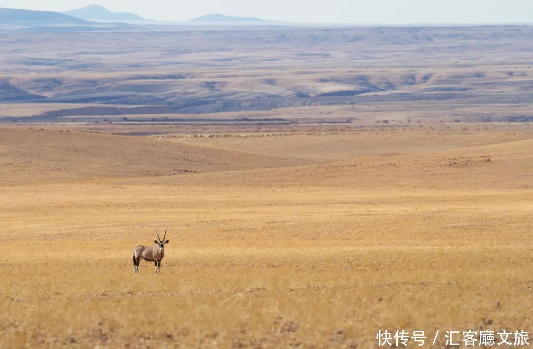 共舞|比稻城纯净、比可可西里震撼，死亡与美丽共舞的无人秘境！