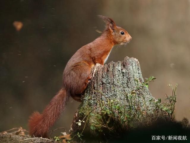 今天是第 52个世界地球日，请好好爱她