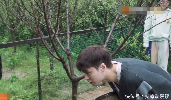 向往5|《向往5》下期:张艺兴去鸡窝掏鸡蛋,“责怪”师父把拖拉机搞坏