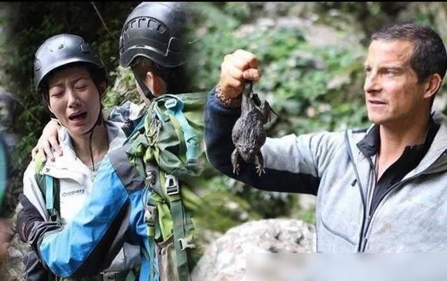 解雇|当年爆红“站在食物链顶端”的贝爷,为何突然不见了