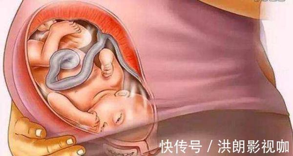 过程|怀胎十月到底是什么样的,十张图带你看孕育过程,生而为人须了解