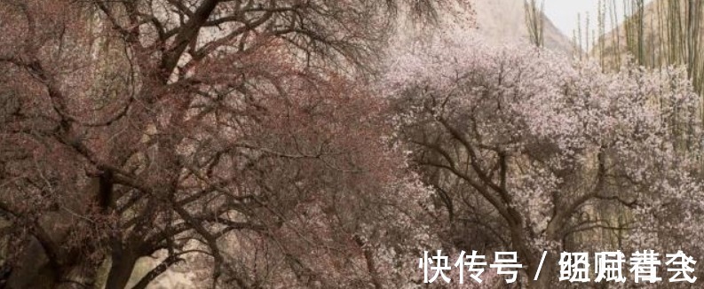 春天里@李煜水平很高的一首词,通篇都在描写忧愁,可是却没有一个愁字!