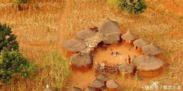 军事国家|非洲历史—19世纪祖鲁族的强盛和内控!