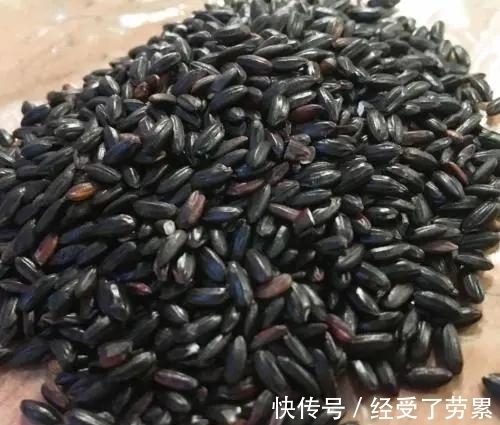 减肥期间|黑米不能随便吃吗?医生:这3类人,最好不要吃黑米,望你了解下