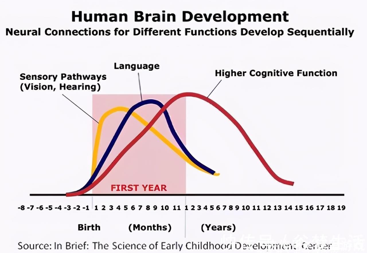 家长们|哈佛研究:孩子一生有3次“变聪明”的机会,家长至少要抓住一次