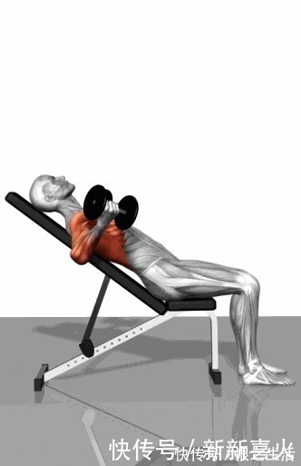 哑铃|想要练出完美胸肌一对哑铃就够了,我来告诉你怎么练