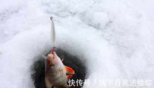 俄罗斯两位老人在冰钓,冰洞却意外钻出这货, 他俩惊喜不已!