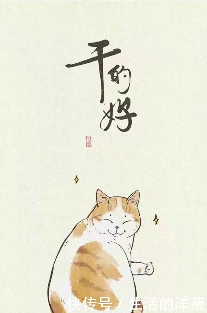 配不上|原来的壁纸已经配不上你的iPhone12了,快来换新的猫咪壁纸