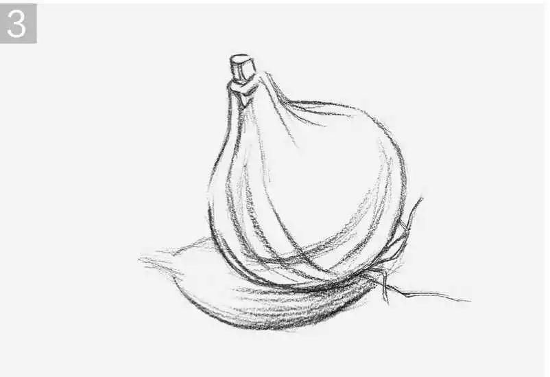 写生#结构素描写生实例:不会画结构素描?老艺术教你画三种常见的素描