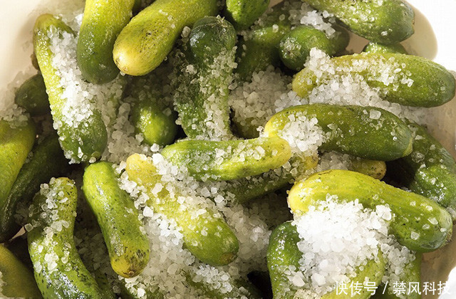 胃部“清洁剂”,平时开水泡一泡,或幽门转阴,胃炎消失