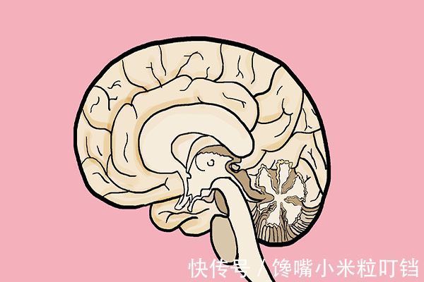 食用|血管堵塞的“祸根”不是肉,世卫组织呼吁停止食用,好多人还在吃