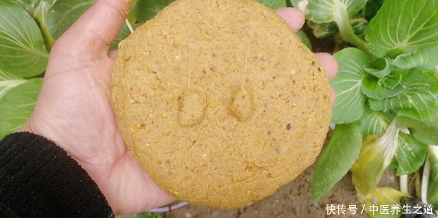 冬季饵料学会这样开,钓鱼一样不比蚯蚓红虫差,快来学学吧!