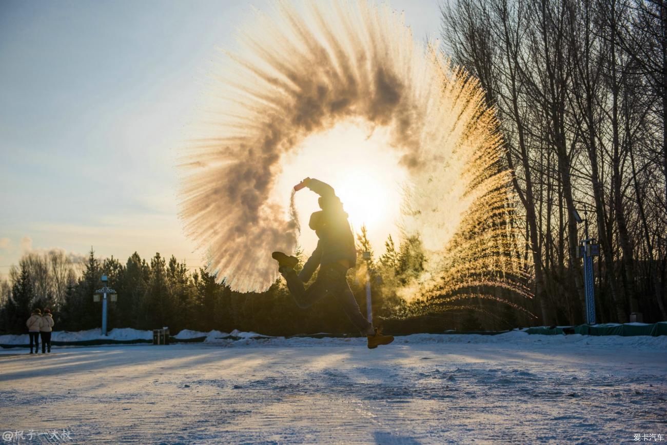 骆驼|屁股在冰雪草原骑开了花，但这里的空气是甜的