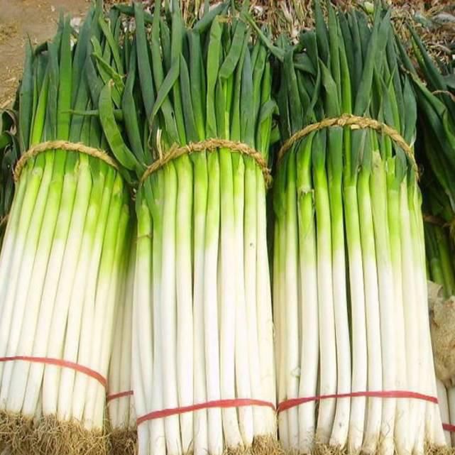 挑选大葱有技巧，保存大葱有妙招，试过才知真的好！