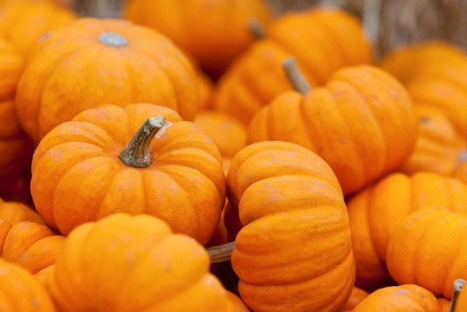 常吃|煮南瓜加一宝,女性常吃,清肠排毒,便秘好了,赘肉悄悄溜走!