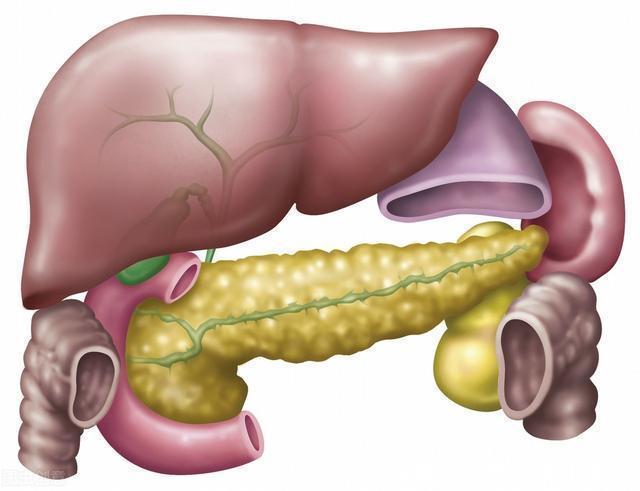 恶性|新晋“癌症之王”胰腺癌,恶性程度超过肝癌,发病率竟增加一倍
