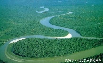 亚马逊河没有生物的存在,竟是高温所致