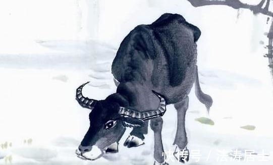 灾煞|年前3属相赚得盆满钵满,诸事顺利,事业名利双收,再也不受苦