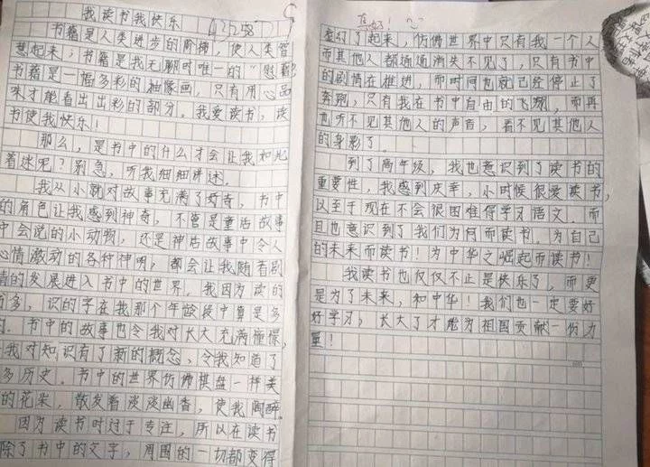 怎么可以错过（小动物的作文）小动物的作文500字 第1张