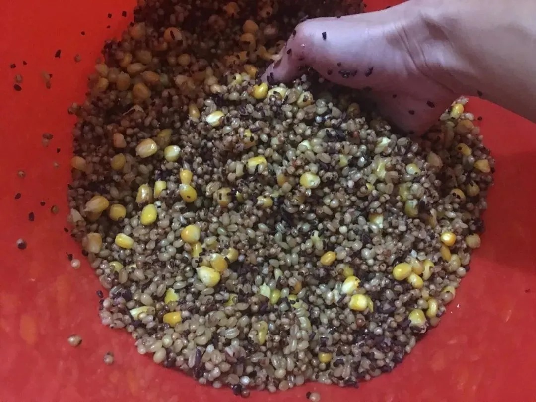 玉米钓鱼秘诀,再也不用看别人钓鱼表演,自己也能狂拉大鱼!