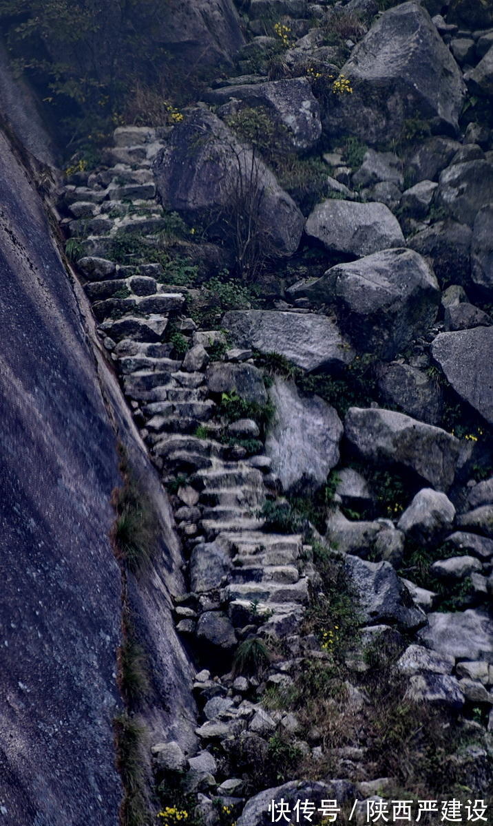 售票处|黄山景区售票处空空荡荡【严建设】