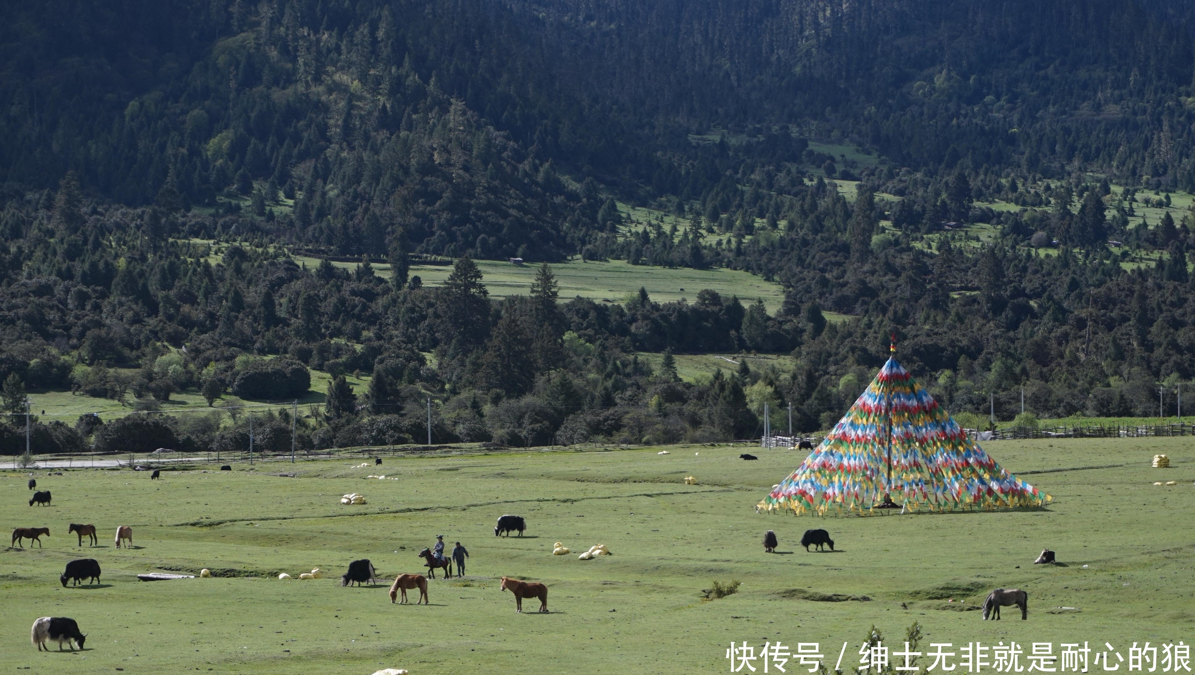 清明踏青12城（六）：藏在青藏高原上的江南，旅行、探险的林芝