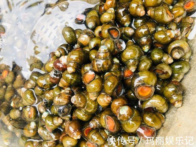 食材|这4种食材寄生虫很多，你可能经常吃，为了家人健康，不妨看一看