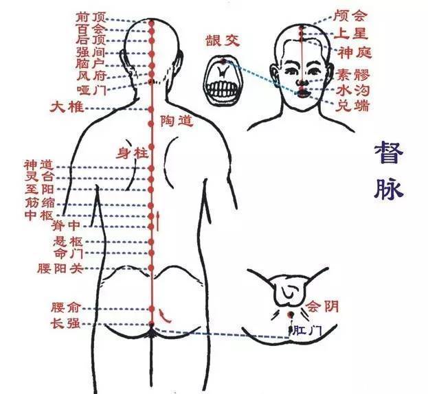 经络|一套从头练到脚的经络操，彻底打通经络百病消！比三伏贴还管用！