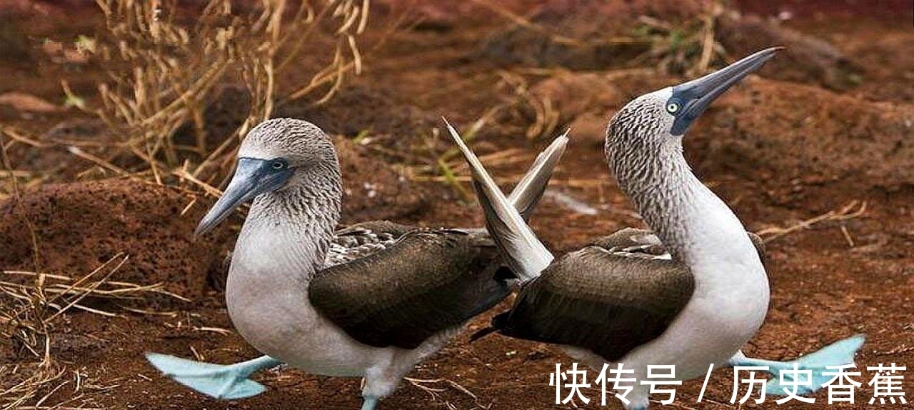 果冻|世界上的47个冷知识,您知道几个?