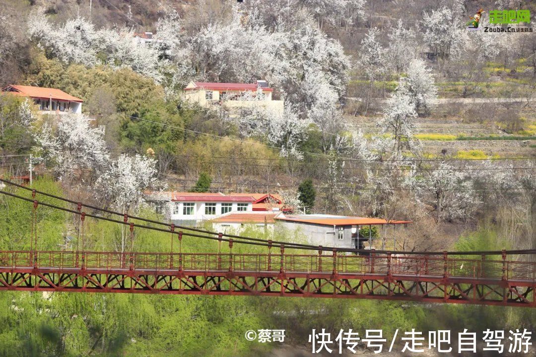 神仙包|春天第一站就去这里！醉春天之川西花海、雪山、冰湖七天之旅