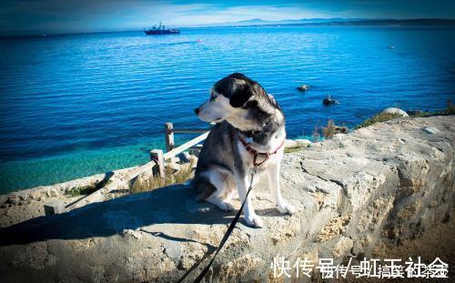 |笑话十则:她同意给我抄,成绩出来了,她倒数第一,我倒数第二