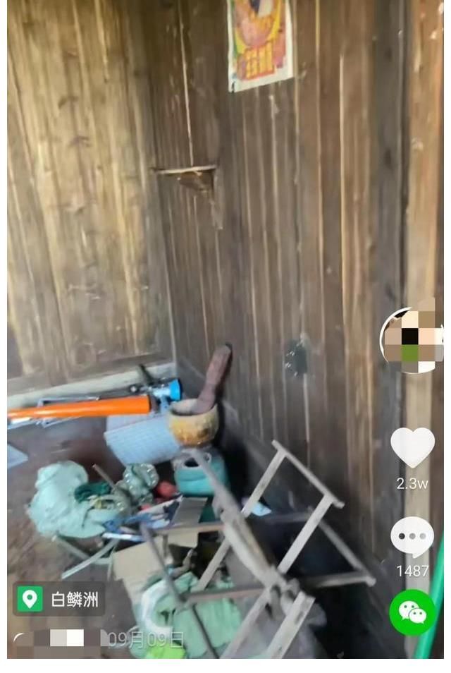 向往的生活|《向往的生活5》錄制地點(diǎn)現(xiàn)狀，圖書館無人管理，蘑菇屋一片狼藉