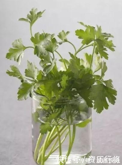 小儿食积 聪明的女人用它护肤,每天煮水喝,细嫩肌肤,可很多人都扔了!