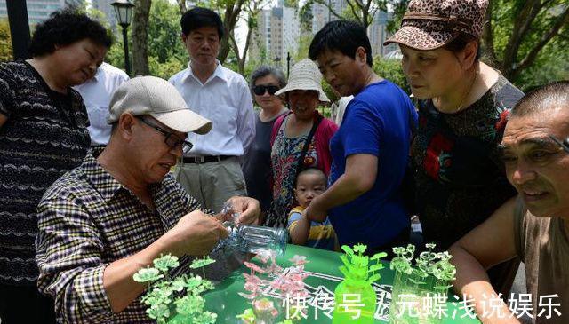 老大爷|塑料瓶子不要扔，免费做出最美盆栽，养一棵铜钱草也美翻了