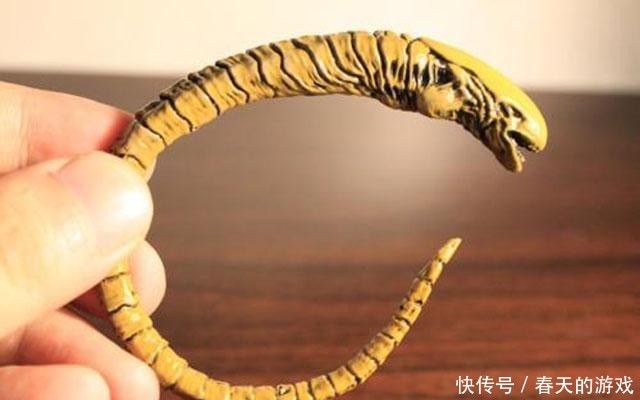 鹦鹉旁边有虫怎么驱虫